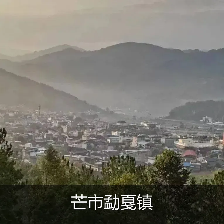 芒市勐戛镇