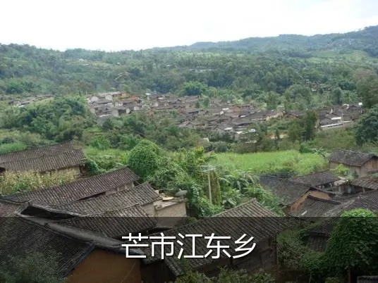 芒市江东乡