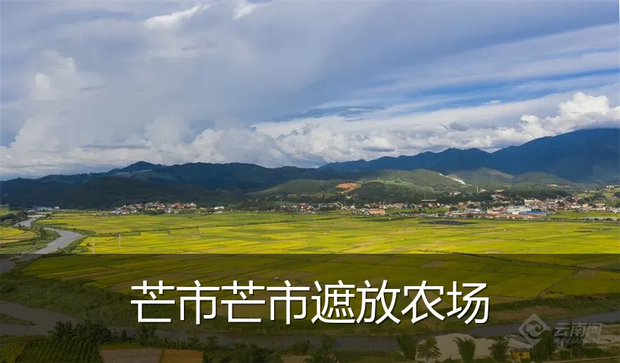 芒市芒市遮放农场