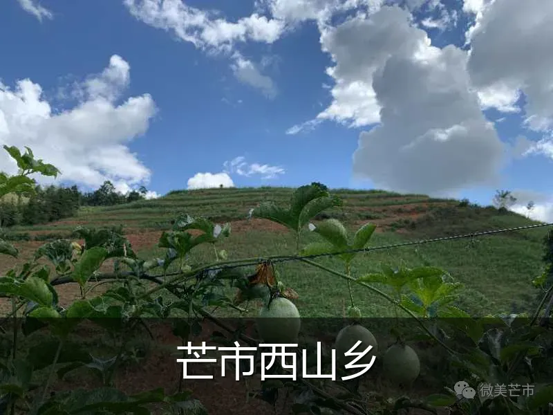 芒市西山乡